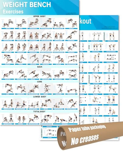 MCNBLK Poster mit Hanteltraining und Fitnessbank, laminiert, 42,7 x 68,6 cm, 2 Stück