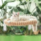 GUUSII HOME Hamac Chat Fenetre Panier Perchoir Transat Suspendu Pliable Support Etagere Cododo Lit pour Coussin Petite et Grande Chats Tapis Réversible Lavable en Machine 54 * 30cm (Chameau Clair, M)