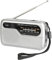 Nexusectar Radio Portátil - Radio FM Portátil | Electrónica Portátil con Altavoz Inalámbrico e Indicador para Viajar, Trabajar, Exteriores, Gimnasio, Conducir y Excursionismo