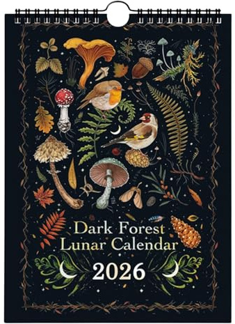 Mondkalender 2026, dunkler Wald, 12 Original-Illustrationen, die das ganze Jahr über gezeichnet wurden, bunter Wandkalender