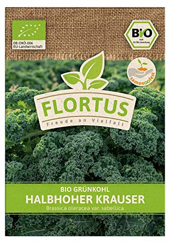 FLORTUS BIO Grünkohl Halbhoher Krauser | Gemüsesamen | Kohlsamen | Grünkohlsamen | Samen zur Anzucht für Garten, Balkon, Küche & Fensterbank