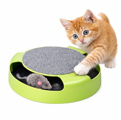 Hymbos Interaktives Katzenspielzeug mit Maus – Beschäftigungsspielzeug für Wohnungskatzen – Jagdspielzeug mit Kratzfläche – Ohne Batterien & Geräuschlos