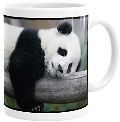 Merchandise for Fans Becher aus Keramik - 330 ml Motiv: Panda/Pandabär (01)