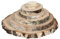 Rindenbrett Birke rund - Rindenscheibe Baumscheibe geschliffen Holzbrett, Brettgröße:Ø ca. 34cm