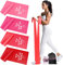 Bandas Elasticas Fitness, 4 Niveles de Resistencia, Cinta Elastica Fitness con Bolso e Instrucciones de Entrenamiento,Muy Adecuado para Yoga, Pilates,Entrenamiento de Fuerza,Fisioterapia