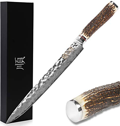 Sunlong YOUSUNLONG Coltello da 10 Pollici Sashimi Coltello Damasco Filetto PRO Yanagi Giapponese VG10 Coltello martellato Manico in Legno Naturale
