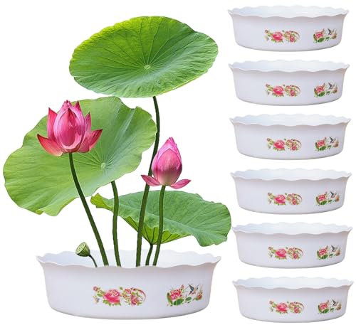 KYEQATY 6PCS Lotus Bowl Pflanzer Chinesischer Stil Lotus Schüssel Hydroponischer Pflanzer ohne Abfluss runden Dekorationsschalen Pflanzgefäß für Wasserlilie Narzisse Pflanzung