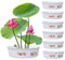 KYEQATY 6PCS Lotus Bowl Pflanzer Chinesischer Stil Lotus Schüssel Hydroponischer Pflanzer ohne Abfluss runden Dekorationsschalen Pflanzgefäß für Wasserlilie Narzisse Pflanzung