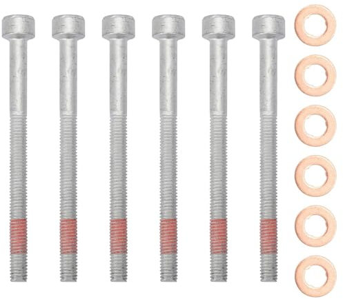 Teilig Kraftstoff Einspritzdüse Kupfer Dichtungsringe Halterungen Set für Einspritzdüsen für W203 W204 W169 W164 W168 W245 CL203 W202 W210 W212 W211 W906 (6 Stück Schrauben mit 6 Dichtringe)