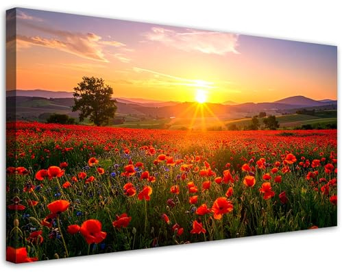 Feeby Leinwand Bilder - Bild Wohnzimmer - Mohnblumen auf einer Wiese Sonnenuntergang - 120x60 1tlg - Deko Schlafzimmer Groß - Dekoration Canvas - Gemälde - Modern Wandbilder - Kunstdruck