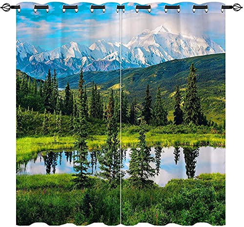 LKCD Verdunkelungsvorhang Mit Ösen, Landschaft Naturlandschaft Bergsee Wald Baum 200X214Cm Vorhang, Blickdicht, Wärmeisolierend, Vorhang, Polyester Für Kinderzimmer, Schlafzimmer, Verdunkelung, 2Er Se