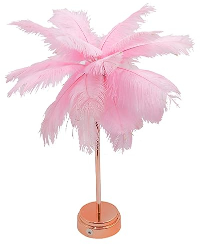 DOITOOL Romantische Feder-nachtlampe Für Mädchen Einzigartige Tischlampe Mit Warmweißem Licht Für Schlafzimmer Und Kinderzimmer Dekorativ Und Vielseitig Einsetzbar Ohne Batterie