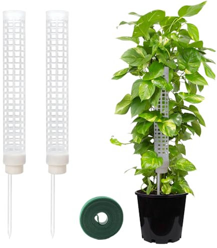 Tuteur Monstera, Tuteur Sphaigne, 2PCS Tuteur Plante Grimpante Moss Pole Support pour Plantes Grimpantes pour La Maison, Monstera Jardin Plante Grimpantes Extension De Support De Plante (Transparent)