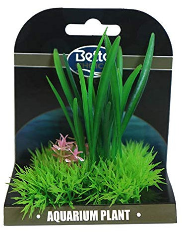 Betta Choice Mini Plant Mat - Green Vallis