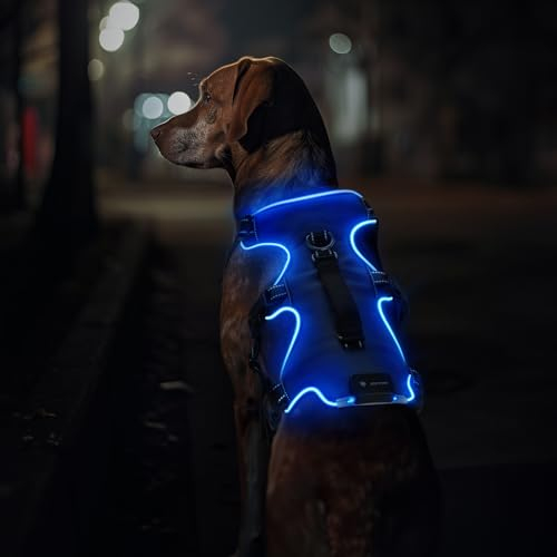 Jewyow Hundegeschirr Leuchtend, Wiederaufladbare LED Hundegeschirr, Led Geschirr für Hunde mit Weicher Griff, 3 Einstellbare Modus, Wasserdicht für Mittelgroße, Große Hund,Blau-M