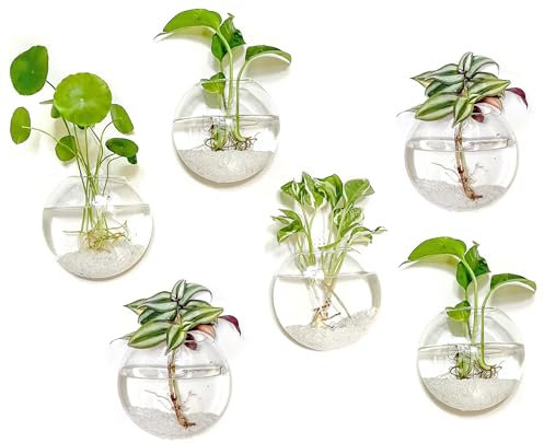 Kingbuy Lot de 6 pots de fleurs en verre à suspendre - Vases muraux ovales pour plantes hydroponiques d'intérieur, salle de bain, salon, bureau, cadeau pour femme, maman, amoureux des plantes
