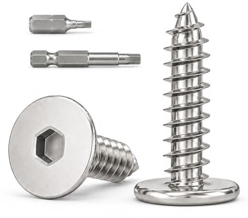 Dayalo Lot de 100 vis à bois M3 x 12 mm - Tête plate à six pans creux - Autotaraudeuses - En acier inoxydable A2 V2A - Filetage complet - Avec 2 embouts - Pour meubles, panneaux d'aggloméré, modélisme