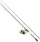 Mitchell Colors MX Spinnruten- und Rollen Combo - Raubfisch-Spinnfischer-Setup - Barsch, Forelle, Hecht, Zander, Neon
