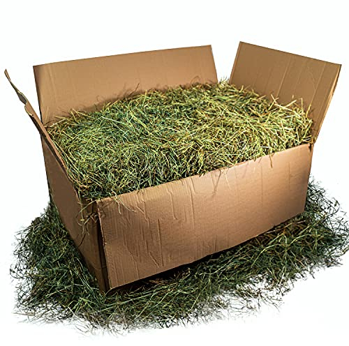 Heu für Kaninchen und Meerschweinchen (4kg) - Vegan, Wiesenheu als Einstreu und Futter für Hamster, Hasen und Nager - Kleintierheu getrocknet direkt vom Hof