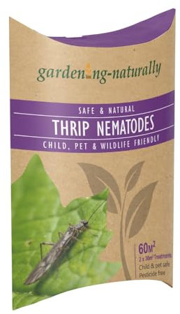 Thrip Nematodes (Thunder Flies) Treats 60 sq.m Pest Control