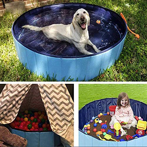 Fictory Piscine pliable en plastique rigide antidérapant pour chiens et enfants 160 x 30 cm Bleu