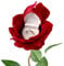 Noble Ringschatulle mit Rosenblütenmotiv für Geschenk/Zeremonie/Antrag/Verlobung/Hochzeit (rot)