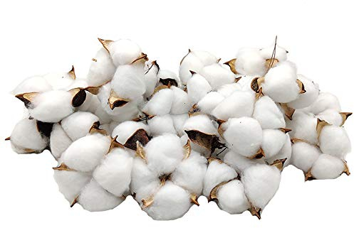 Aisamco 30 Coton Séché Branches | Boules coton blanc, Style ferme, Couronne artisanat, Cadeau décoration, Mariage campagne, Remplisseur vase