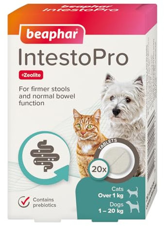 Beaphar – IntestoPro Prebiotic Stool Firming Tablets for Cats and Small Dogs (<20kg) – Natural Active Ingredients – Aids digestive upsets and diarrhoea - Supports Healthy Gut Function – 20 Tablets