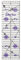 The Quilted Bear Transparentes Patchwork-Lineal – rutschfestes Design, Lineal zum Nähen, Quilten, Patchwork, robustes Acryl mit 30 45 60 Grad Winkeln, klare Linien (2 x 6.5)