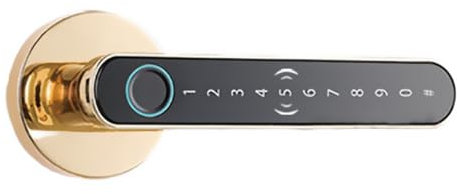 Rawrr ICT8 Elektronisches Fingerabdruck Türschloss Electronic Fingerprint Door Lock, Gold