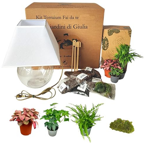 I Giardini di Giulia | Kit Terrarium Lamparium Petit et plantes vertes | Vase en verre Ø22 cm avec abat-jour inclus | Comprend substrats, accessoires et terrarium Fai-da-Te