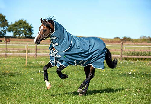 Horseware AmEco Bravo 12 Plus Turnout 0g - Teal/Grey