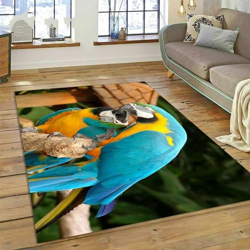 Kinderteppich Vögel Farbe Papagei Papagei - Kurzflor Teppich Kinderzimmer Spielteppich Antiallergen Und Extra Weich - Babyzimmer Teppiche Für Junge Und Mädchen Babyteppich 80 X 160 cm -3B4U3Y1T6D8P9