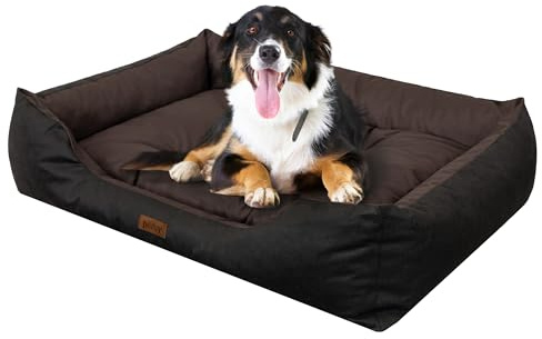 DOGGY Hundebett - Hundekissen für kleine Hunde - Hundekorb - EInfach zu reinigen - erhöhte Ränder, M, 84x65 cm, Braun