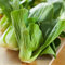 Semillas de col china Pak Choi - Brassica chinensis