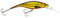 Westin Wobbler zum Hechtangeln & Zanderangeln 10cm 16g P10DR Crankbait Floating, Farbe:Gold Rush