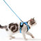 Katzengeschirr mit Leine Ausbruchsicher Katzenleine Set Verstellbar weich Kätzchenweste mit Reflektierenden Streifen Brustgeschirr für kleine Kitten (Hellblau, XS)