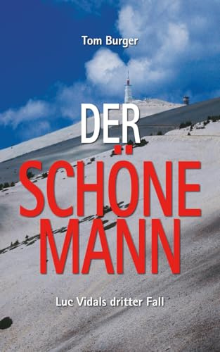 Der Schöne Mann: Luc Vidals dritter Fall
