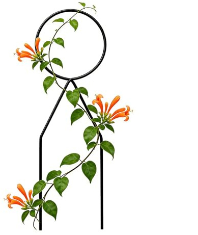 Struttura da arrampicata da giardino – nero, antiruggine, 34 cm, mini traliccio verticale | Piante da appartamento Pothos Monstera Philodendron supporto camera da soggiorno cortile G
