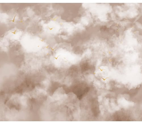 decomonkey Fototapete Himmel Abstrakt 350x256 cm XXL Design Tapete Fototapeten Tapeten Wandtapete moderne Wand Schlafzimmer Wohnzimmer Deko Modern Wolken Vogel braun weiß