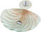 SXLSZ Lavabo da Appoggio Vetro Temperato Lavandino da Bagno Appoggio A Forma di Conchiglia Bagno Lavandino D'appoggio con Cascata Rubinetto, Drenare Combo Lavabo Bagno Appoggio,Style a