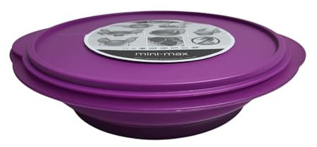 Tupperware Picknick Teller 4er Set wiederverwendbar Wohnmobil Lunch Plates (lila Faltteller)