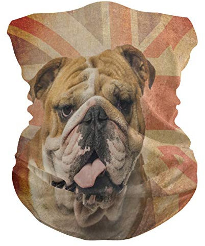 BIGJOKE Niedliche Englische Bulldogge Mops Winddicht UV-Schutz Gesichtsmaske Bandanas Kopftuch Waschbarer Hals Gaiter Stirnband für Damen Herren Outdoor Aktivitäten Staub Yoga