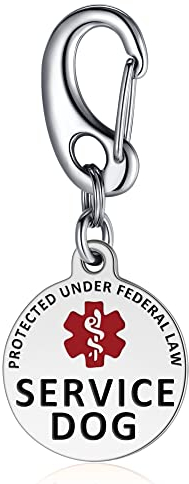 Leash King 3,2 cm Doppelseitige Service-Hundemarke mit 3,3 cm massivem Schnellclip - einfache Befestigung an Halsband, Geschirr, Weste - komplett chirurgischer Edelstahl - poliert