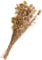 Trockenblumen Set Distel, L ca. 55 cm