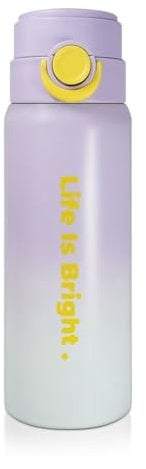 Bukebro Stainless Steel Vacuum Insulated Water Bottles Leak Proof with Straw,keep warm|cool,Gifts for him|her,used in office,outdoor sports 17oz/500ml (17oz purple)