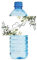 Etichette per bottigliette d'acqua matrimonio greenery 24 pezzi