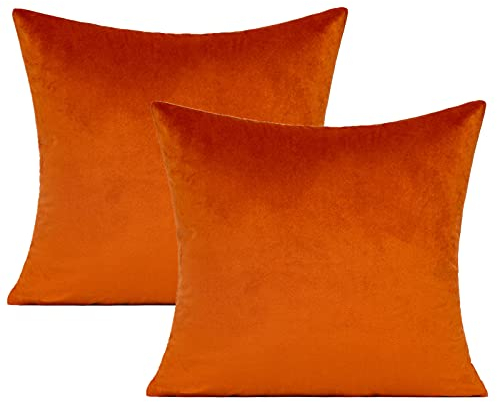 VAKADO Burnt Orange Samt Kissenbezüge Rost Herbst Thanksgiving Quadratisch Gemütlich Weiche Feste Dekorative Kissenhülle Dekokissenbezüge Wohnkultur für Couch Sofa Schlafzimmer Auto 2er Set,45x45 cm