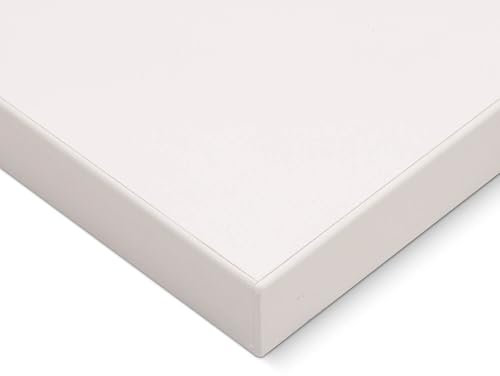 HausFux Spanplatte nach Maß - 2,5 cm stark, melaminbeschichtet, mit ABS-Kante - Made in Germany - Maßanfertigung - für Möbel- und Innenausbau (Icy White, 50 x 40 cm)