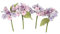 House of Cake Mini Rose Spray, Pink Floral Cake Decoration With Flowers and Leaves, Single